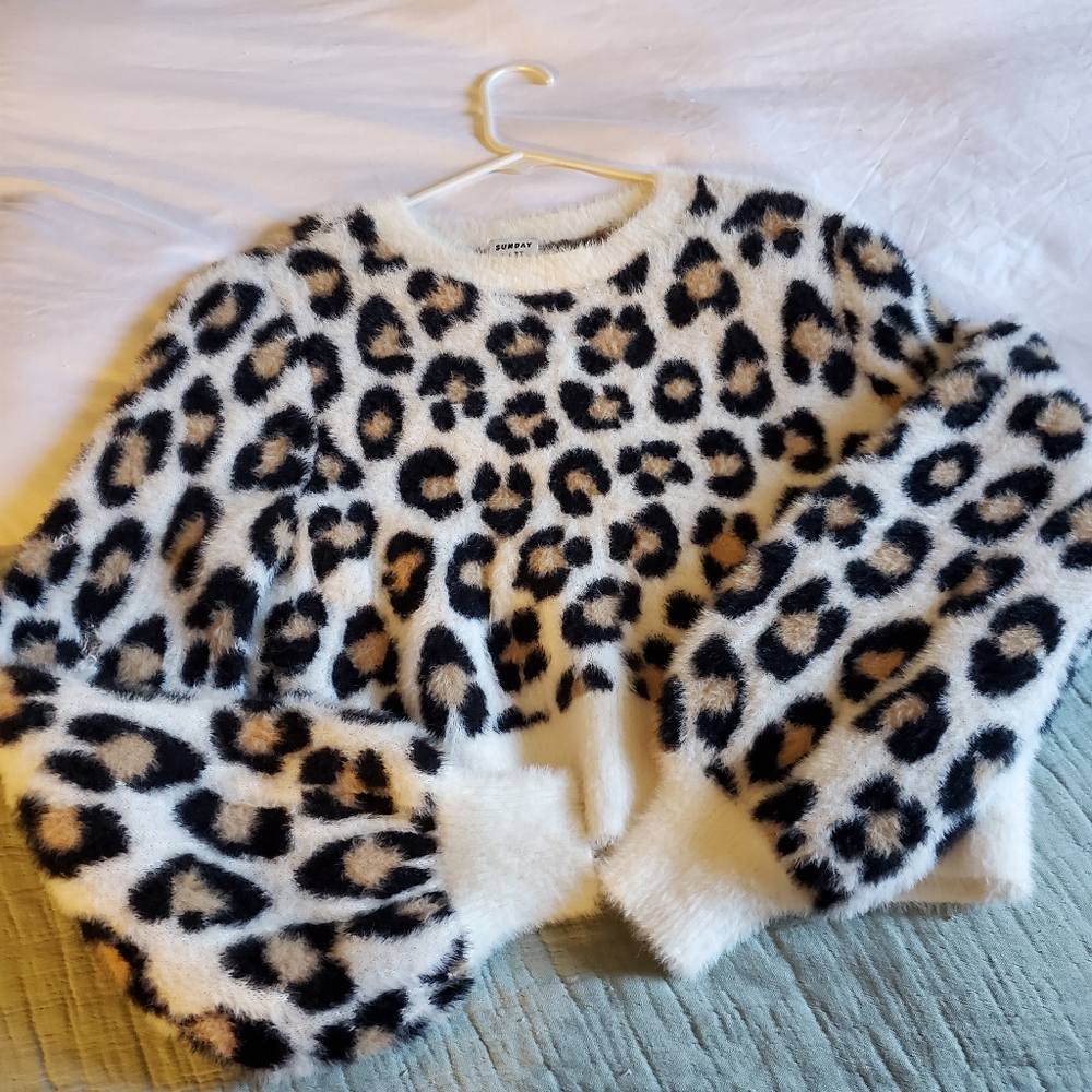Cheetah print sweater